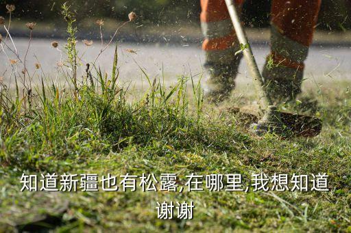 我愛白松露冰淇淋,世界上最貴的食物有哪些?